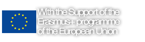 European Union Plans and Experiences for Public Libraries